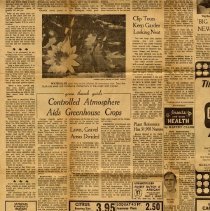 Camellia Propogation lower page