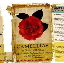 Camellias Cover front and flap