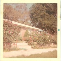 The flowers facing the river, in front of  his home. Gus's house