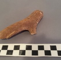 single antler - fragment