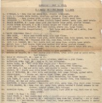 A. Steil list of camellias