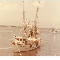 Shrimp boat race winner