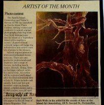 Artist of the month