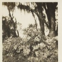 Young Lady at Gerbing Gardens