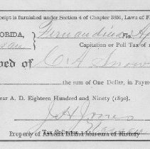 Receipt for Nassau Co. poll tax paid Apr. 1, 1891