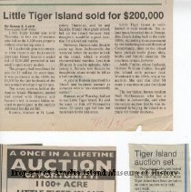 Tiger island auction and sale