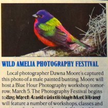 Wild Amelia Photo Festival