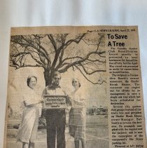 Camellia Garden Club