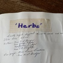 Camellia Garden Club