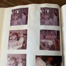 Camellia Garden Club