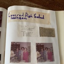 Camellia Garden Club