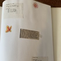 Camellia Garden Club