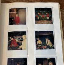 Camellia Garden Club