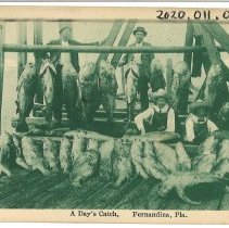 Postcard " A Day's Catch"