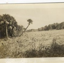 Atlantic Ave looking North