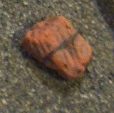 potsherd