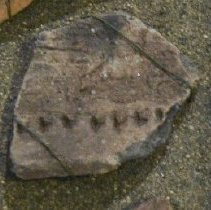 potsherd