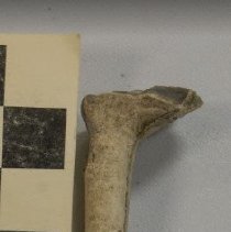 pipe bowl fragment