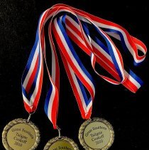 Great Southern Tailgate Cookoff 2010 medals