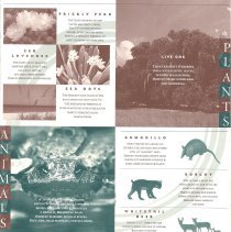 Amelia Island Tourism Brochure