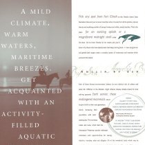 Amelia Island Tourism Brochure