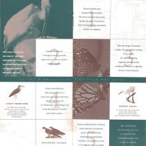 Amelia Island Tourism Brochure