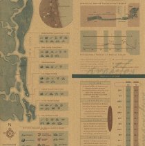 Amelia Island Tourism Brochure