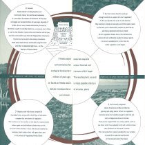 Amelia Island Tourism Brochure