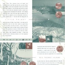 Amelia Island Tourism Brochure