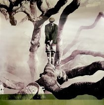 Amelia Island Tourism Brochures