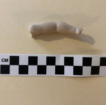 Charlotte Doll Arm (front)