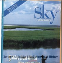 17 Ways to Play in Jacksonville, Florida