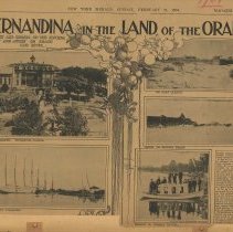Fernandina in the Land of the Orange