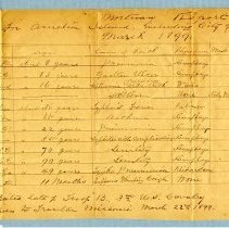 Mortuary Reports for Amelia Island and City of Fernandina