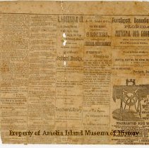 The Fernandina Express August 12, 1881