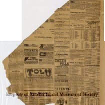 Fernandina Express August 12, 1882 Back