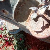 Duryee Fountain Amelia Wilson 6-6-2011