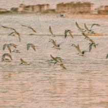 Collection of Photgraphs by Steve Leimberg