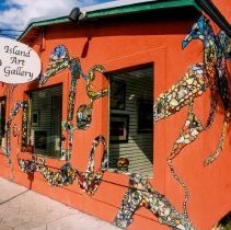 Collection of Photgraphs by Steve Leimberg