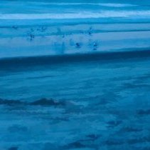 Collection of Photgraphs by Steve Leimberg