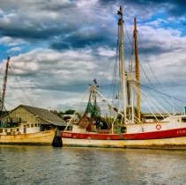 Collection of Photgraphs by Steve Leimberg