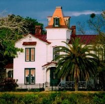 Collection of Photgraphs by Steve Leimberg