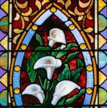 Collection of Photgraphs by Steve Leimberg