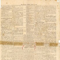 The Florida Mirror Saturday March 15, 1884 Page 1