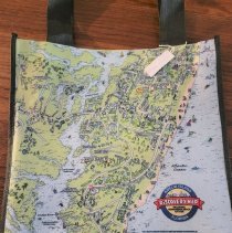Discovery Map Printed Carry Bag/ Shopping Bag