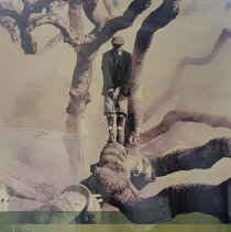 Poster with Golfer in Live Oak Tree