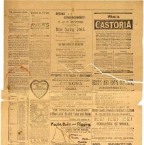 The Fernandina News April 7, 1894 Page 1