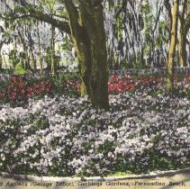 (#12) 2008.001.008 -copy