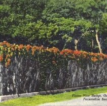 (#03) 1990.020.013 -copy-5