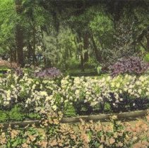 (#06) 1990.020.013 -copy-17